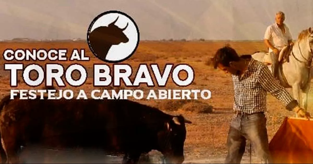 Conoce al Toro Bravo “Festejo a Campo Abierto”