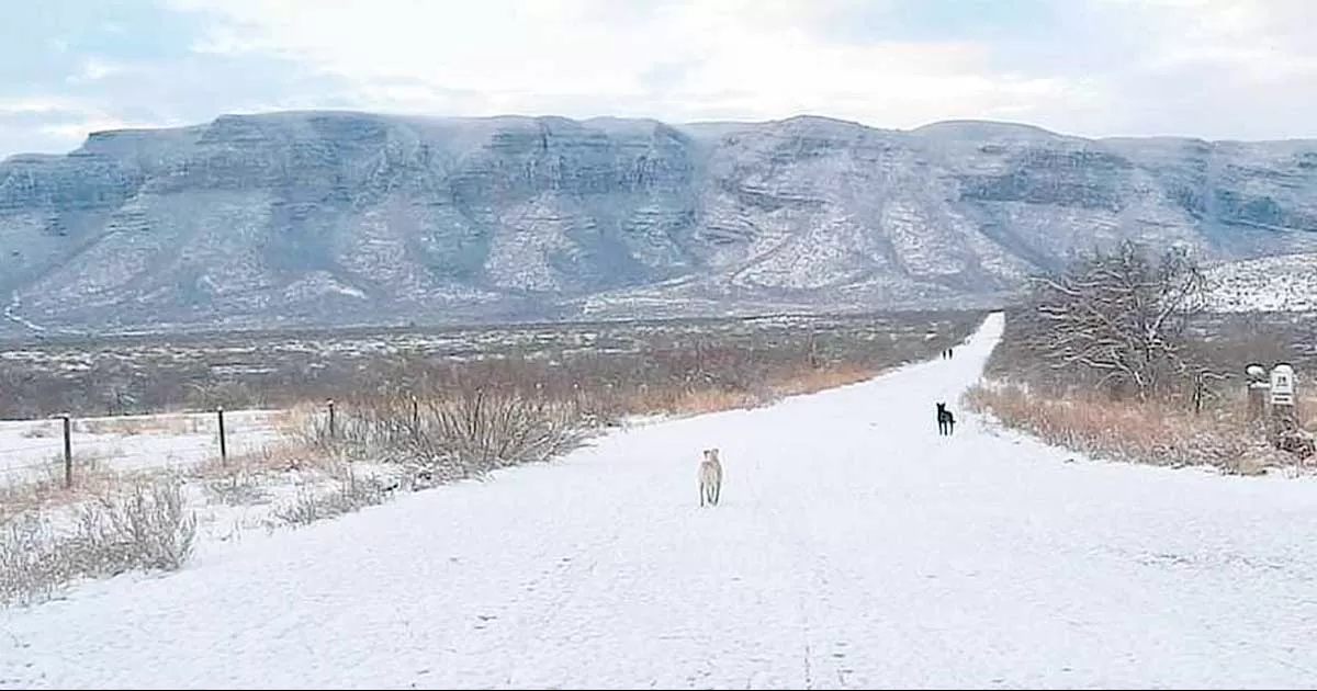 Reportan primeras nevadas en la sierra de Múzquiz