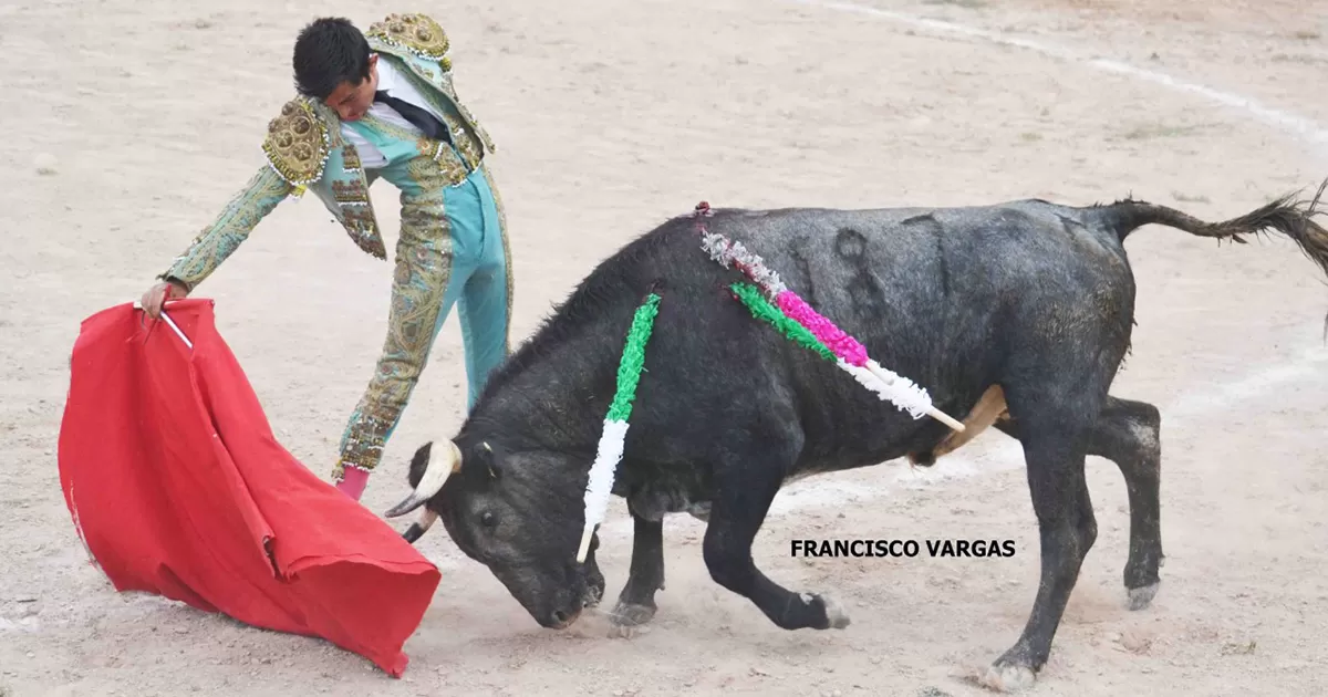 Atractivas Novilladas sin Picadores en el Cortijo “San Rafael”