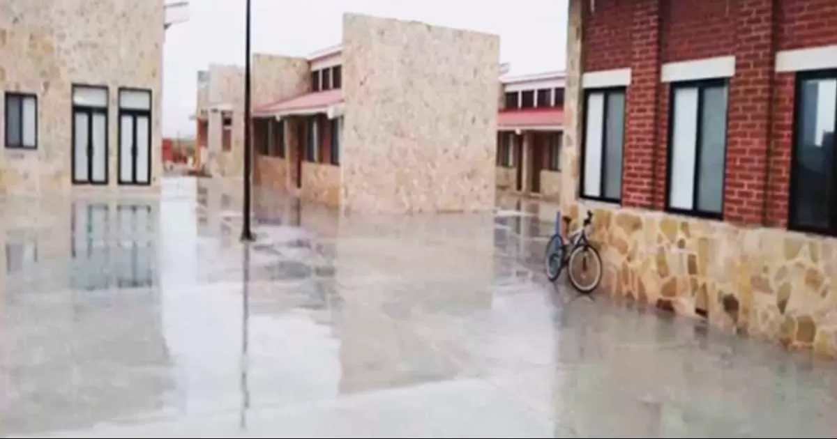 El 10 de diciembre se cierra la plataforma de Universidad del Bienestar