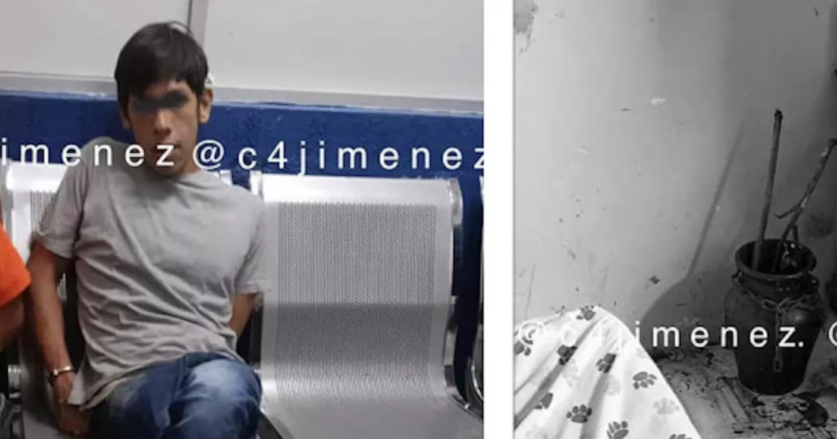 Desollaba perritos y gatitos para ofrecerlos a 'sus santos'; dijo sujeto detenido