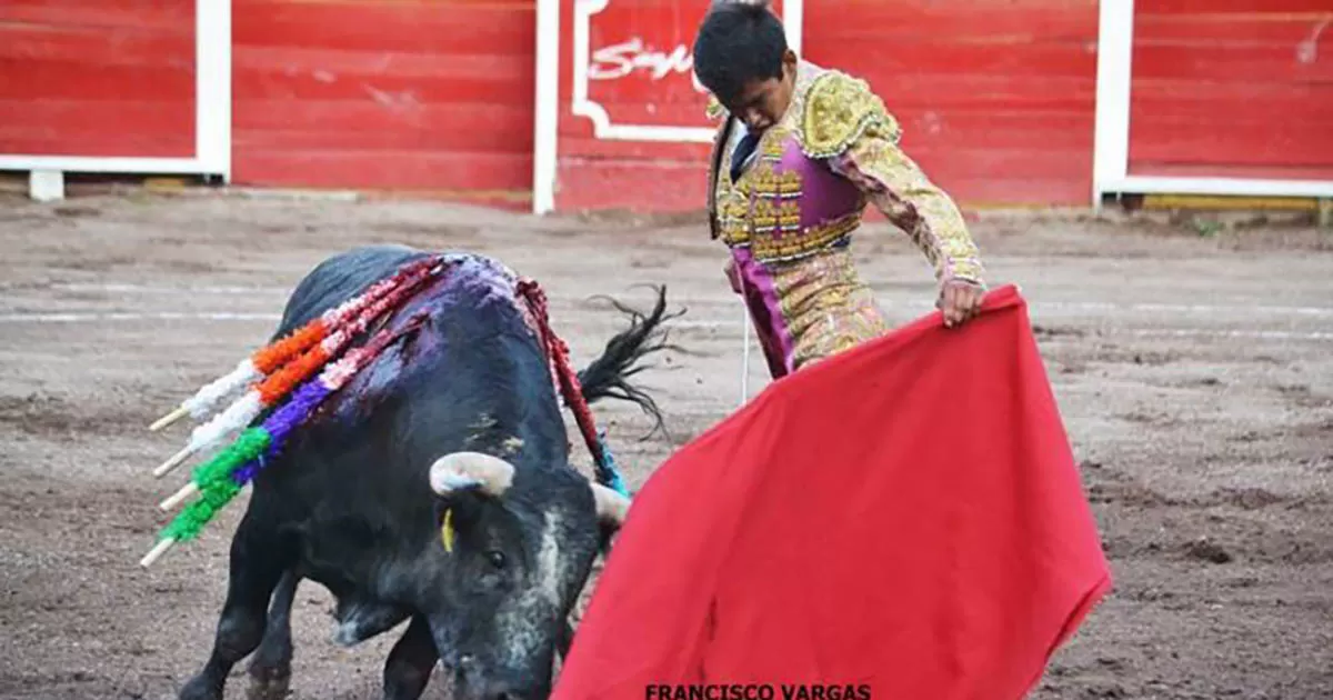 Extensa y atractiva la Jornada Taurina para esta Semana