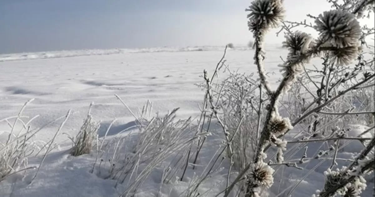 Disparan el riesgo de muerte en las personas con problemas cardiovasculares, ictus, insuficiencia cardíaca y arritmias, según una investigación