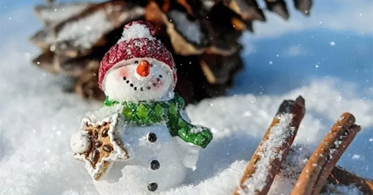 Este 21 diciembre llega el invierno al hemisferio Norte. Te decimos lo que debes saber.