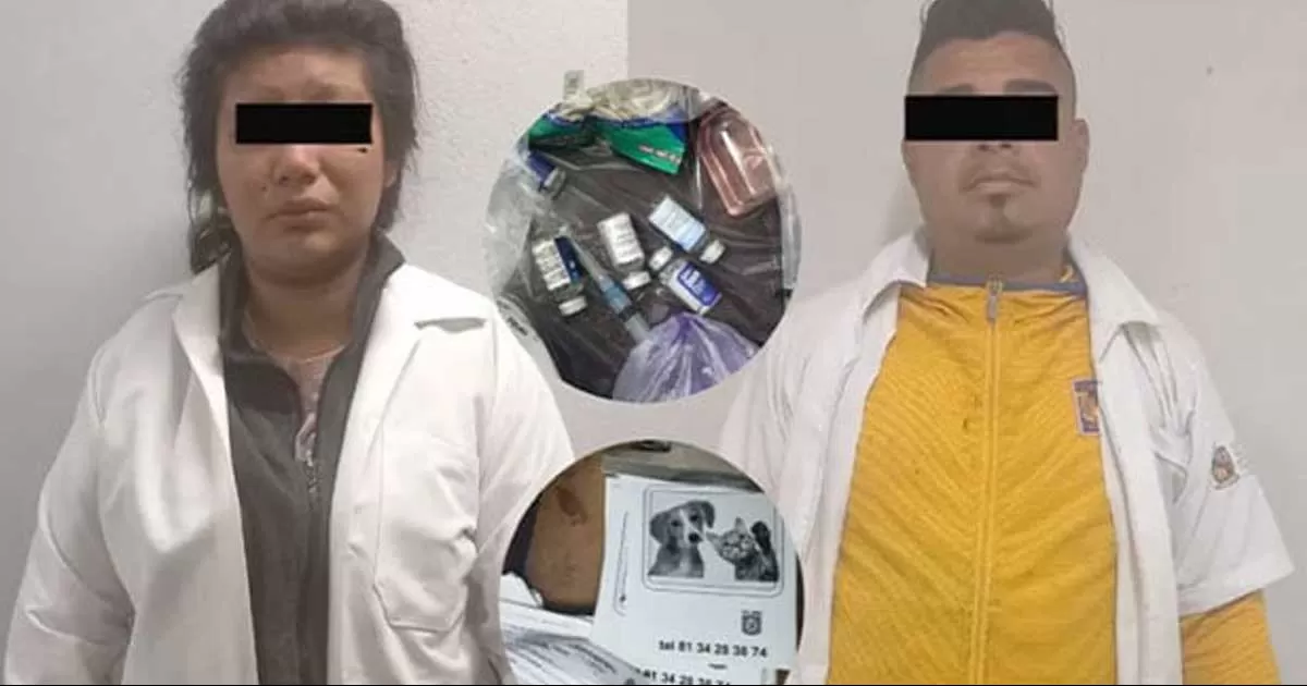 Detienen a pareja que aplicaba vacunas falsas a perros y gatos en Nuevo León