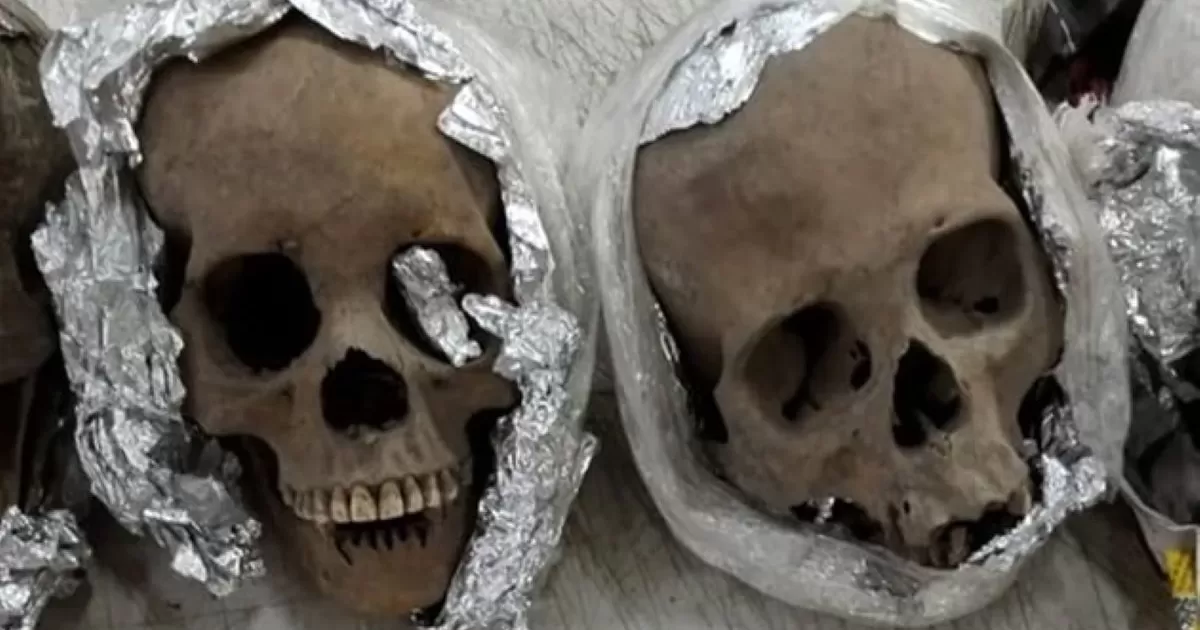 Los restos tenían como destino un domicilio en la ciudad de Manning, del estado de Carolina del Sur, en Estados Unidos