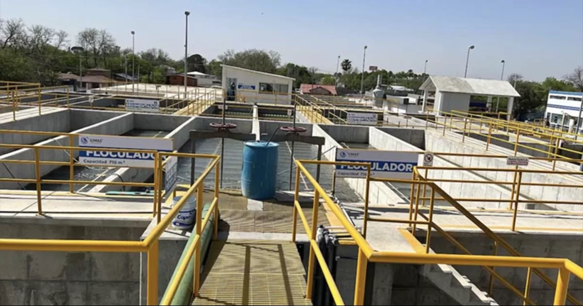 Se presume que sean algas, fenómeno derivado de los cambios en la temperatura del Río Bravo.