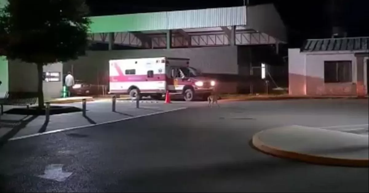 La víctima fue asaltada por un par de sujetos que le quitaron un celular y cuatro mil pesos.