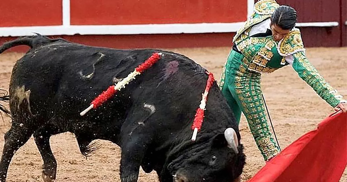 Pocos festejos para la Jornada Taurina de esta Semana