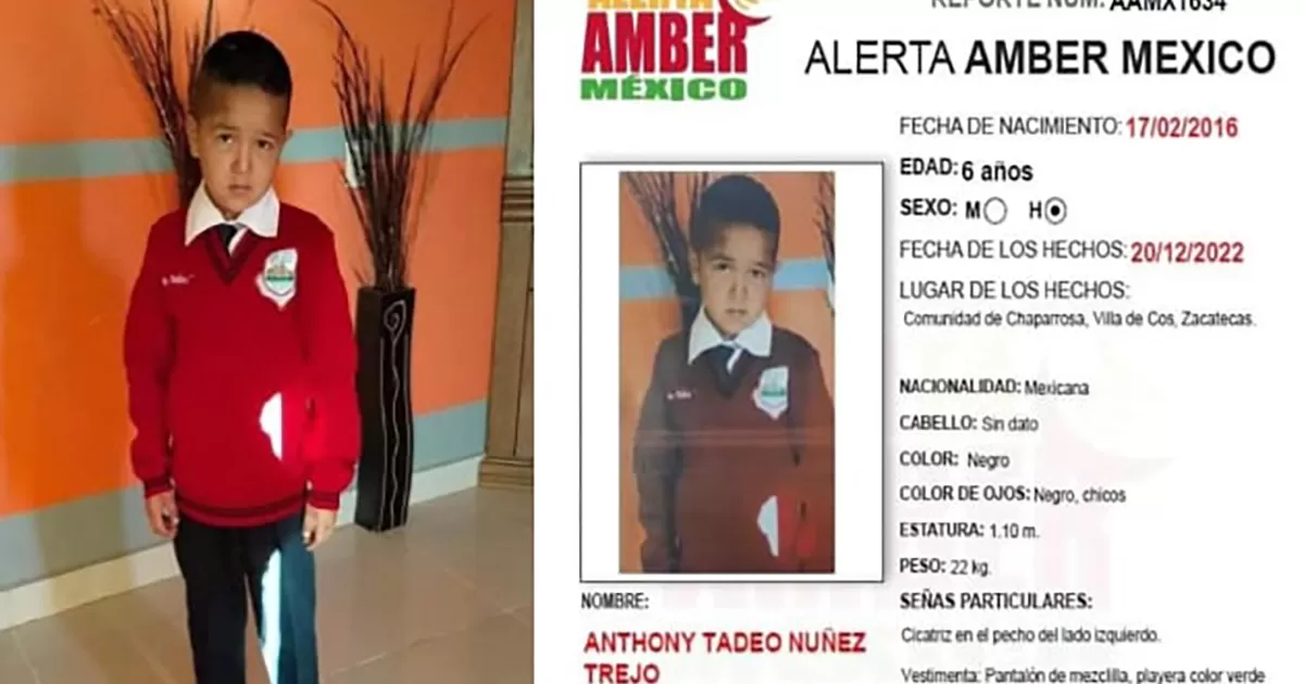 Exigieron la aparición con vida del niño Anthony Tadeo Núñez Trejo, de 6 años, quien fue sustraído del patio de su casa el 20 de diciembre de 2022