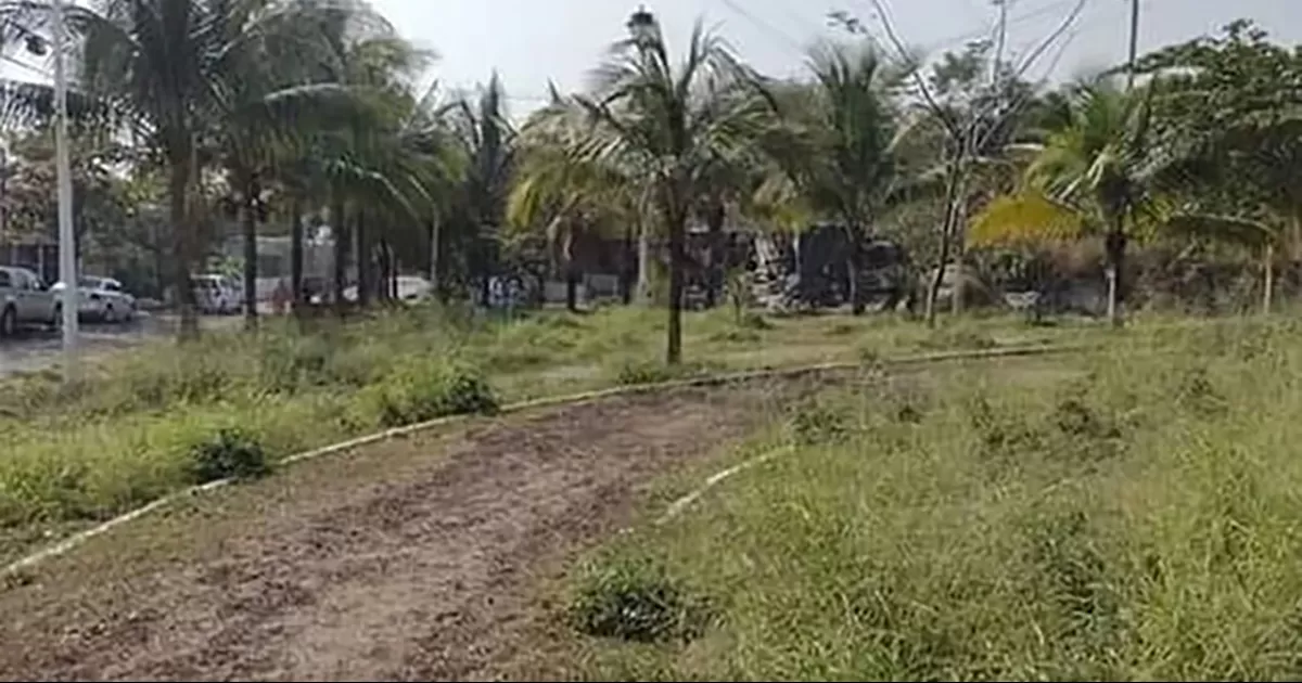 Joel, de 16 años salió de la escuela con dirección su casa, cuando fue atacado con una arma blanca tras resistirse al asalto