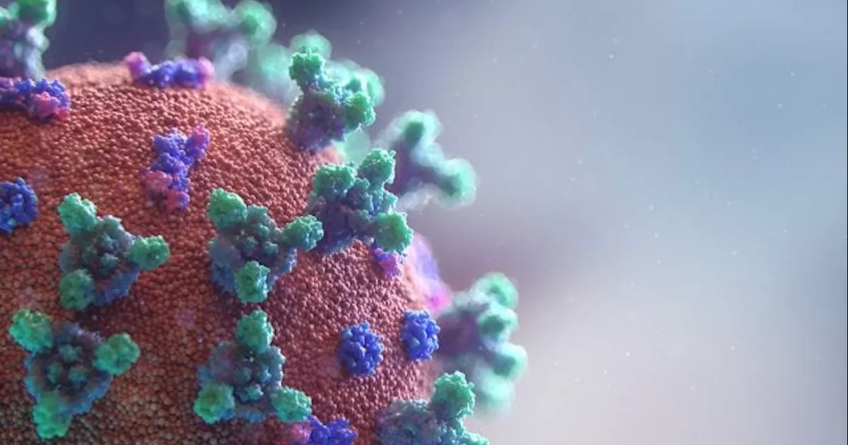 Logran predecir mutaciones del SARS-CoV-2 con redes neuronales artificiales