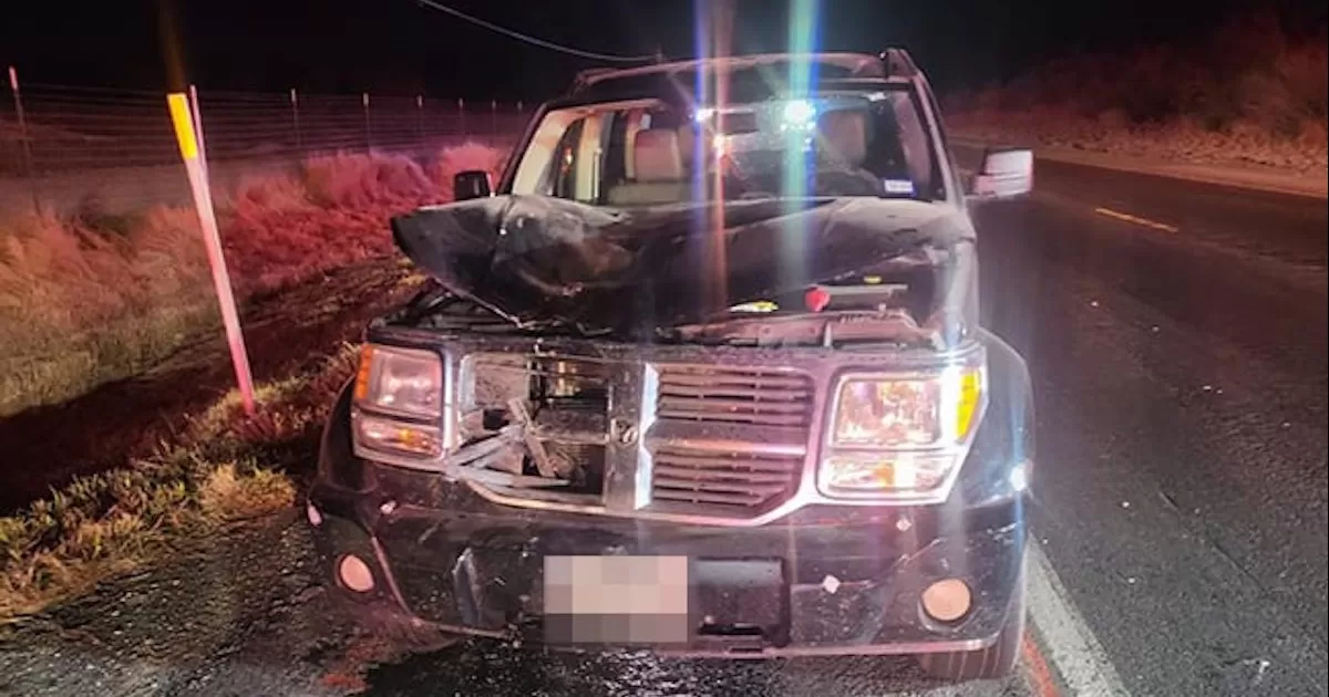 Se trata de un jovencito de 17 años de edad, de origen guatemalteco, que todo indica, estaba sobre uno de los carriles de la vialidad