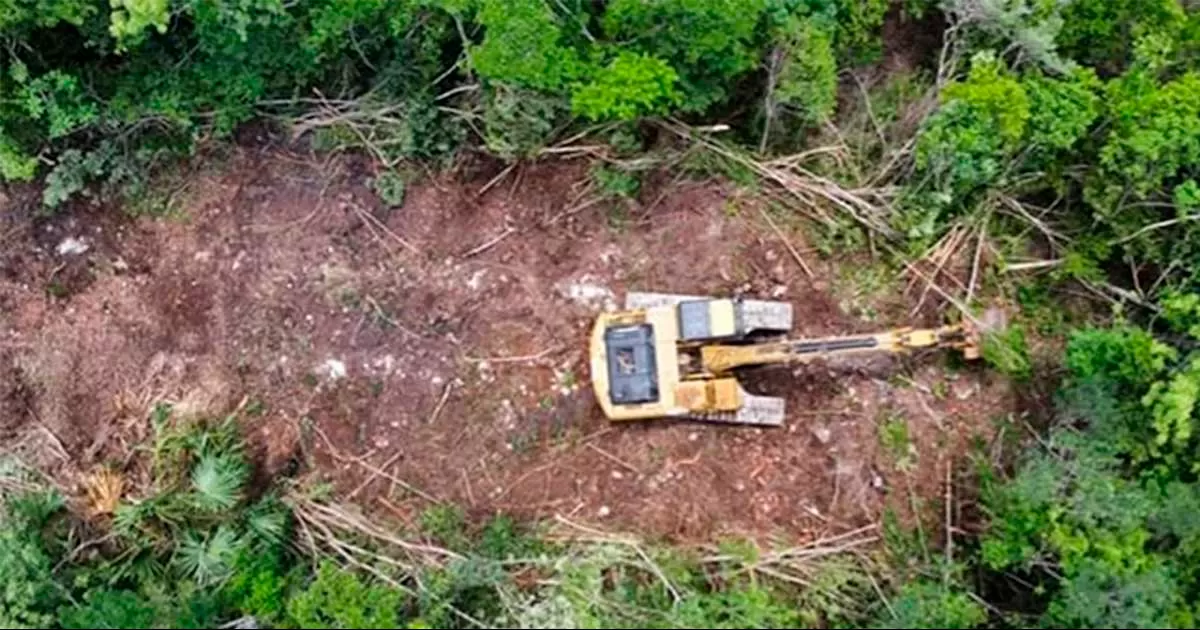 La suspensión provisional estará vigente por lo menos hasta el 2 de febrero, cuando el juez Adrián Zepeda Novelo celebrará la audiencia incidental