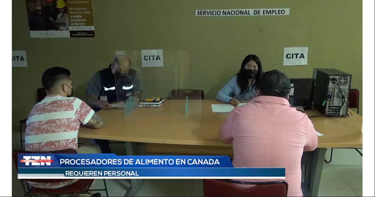 Ofrecen vacantes para Canadá con suelo de 34 mil pesos mensuales