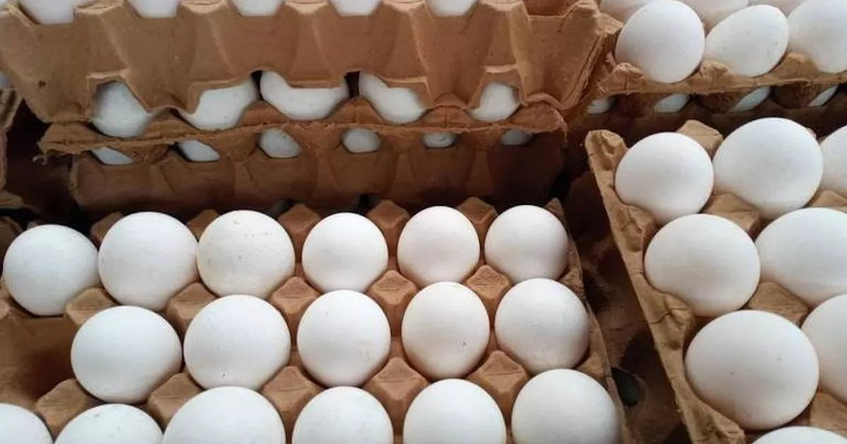Falso que exista escasez de huevo en mercado nacional; abasto esta garantizado