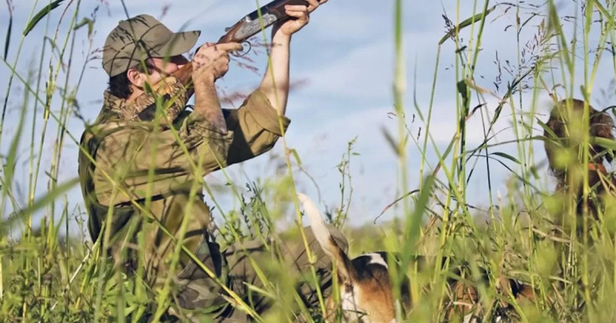 Perro mata por accidente a su dueño tras pisar su rifle mientras iba de caza
