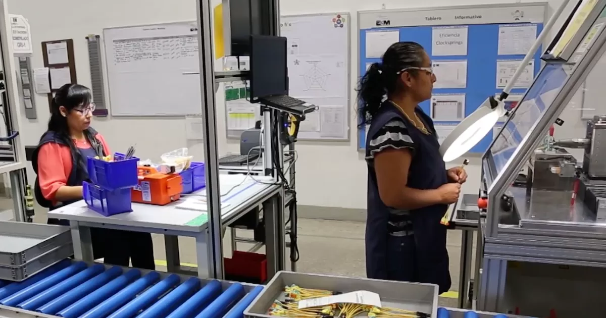 Todos los trabajadores que laboran en una empresa que se haya apegado a la Sustitución Laboral, no deben perder ninguno de sus derechos laborales, incluidos salarios y prestaciones, declaró Tadeo Vargas Pérez.