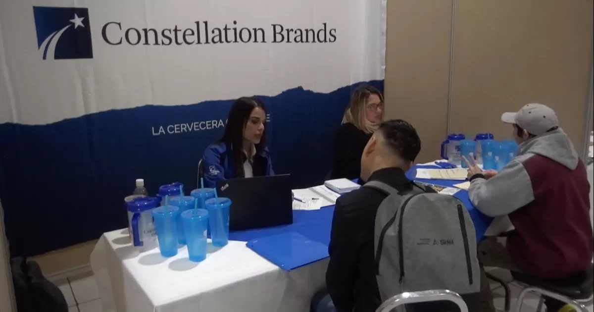 Primera Feria del Empleo logró reunir a 25 empresas ofertando más de 500 vacantes