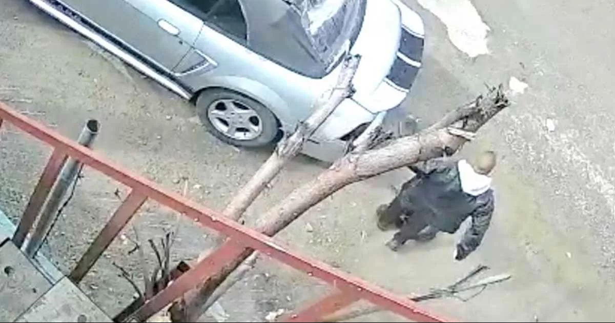 Por maltrato animal el sujeto ya está bajo investigación