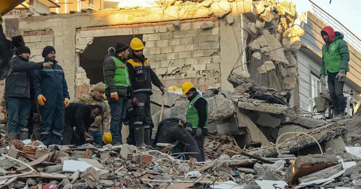 Conmueve foto de gato abrazando a un perro en Siria tras ser rescatados