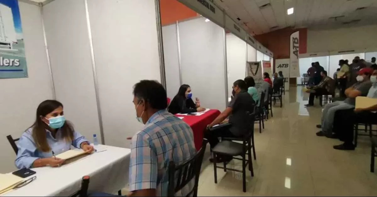 Bolsa de trabajo del servicio nacional del empleo maneja más de 600 vacantes