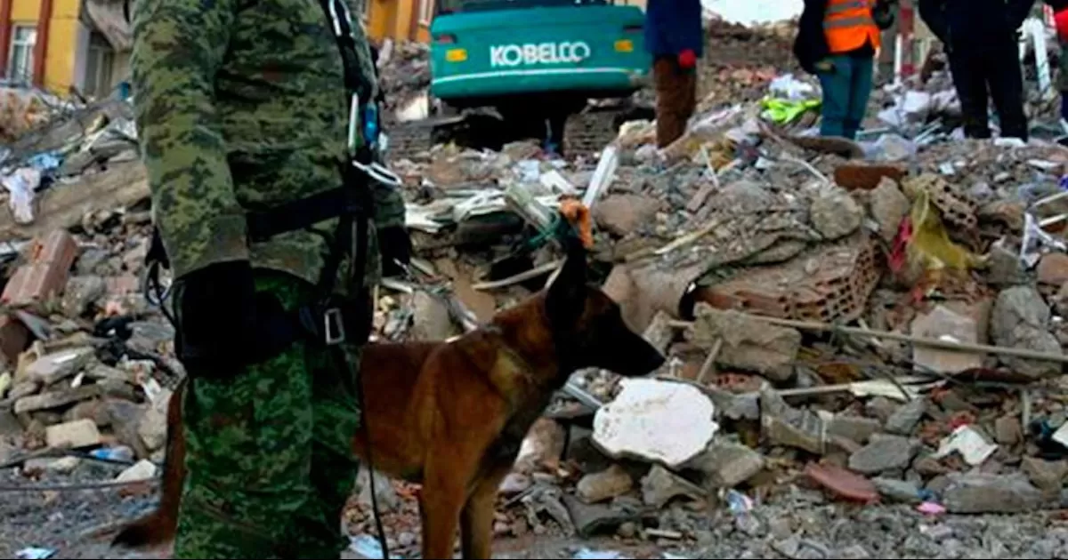 Niega entrenador muerte de Proteo por derrumbe; fue por condiciones del clima y edad