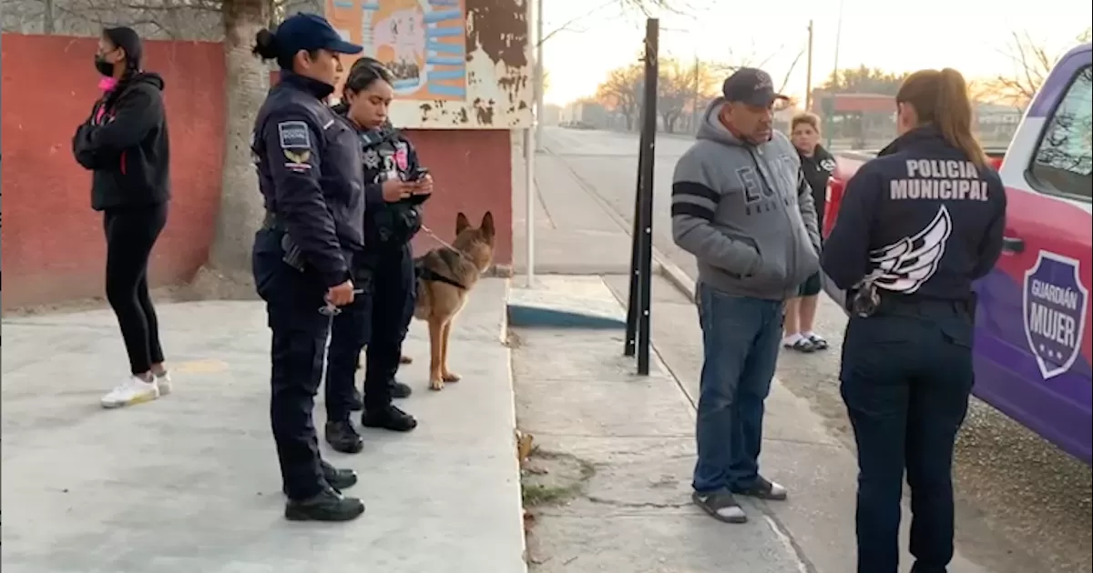 Se realizan diversas actividades para llevar a la población estudiantil diversas acciones preventivas de actos ilícitos.