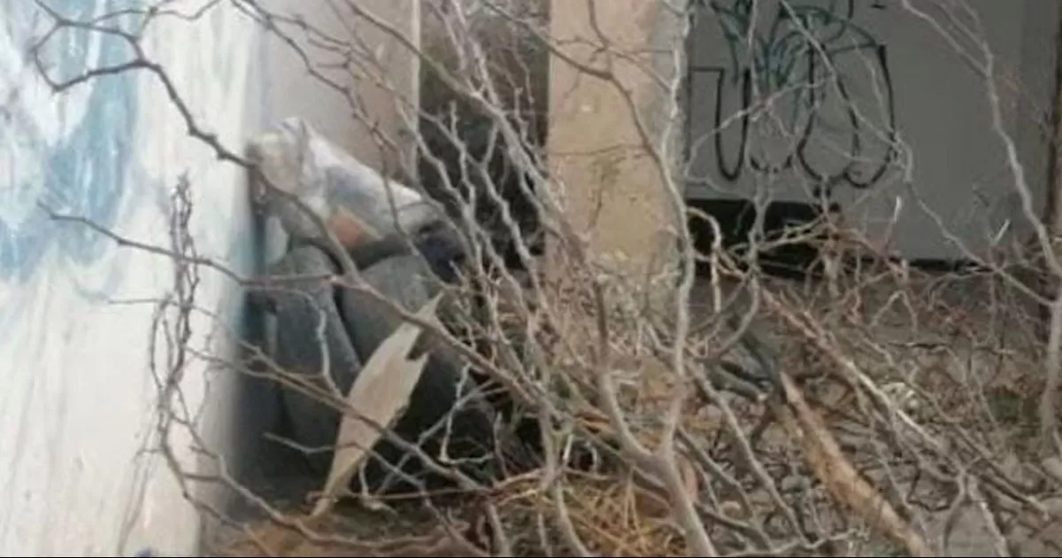 Denuncian a hombre que presuntamente come perros y gatos en Torreón