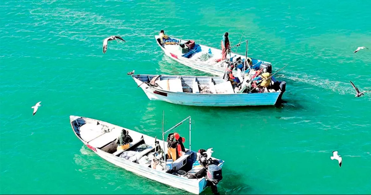 Prometen, ahora sí, proteger a la vaquita; gobierno tiene 36 acciones a favor del mamífero marino