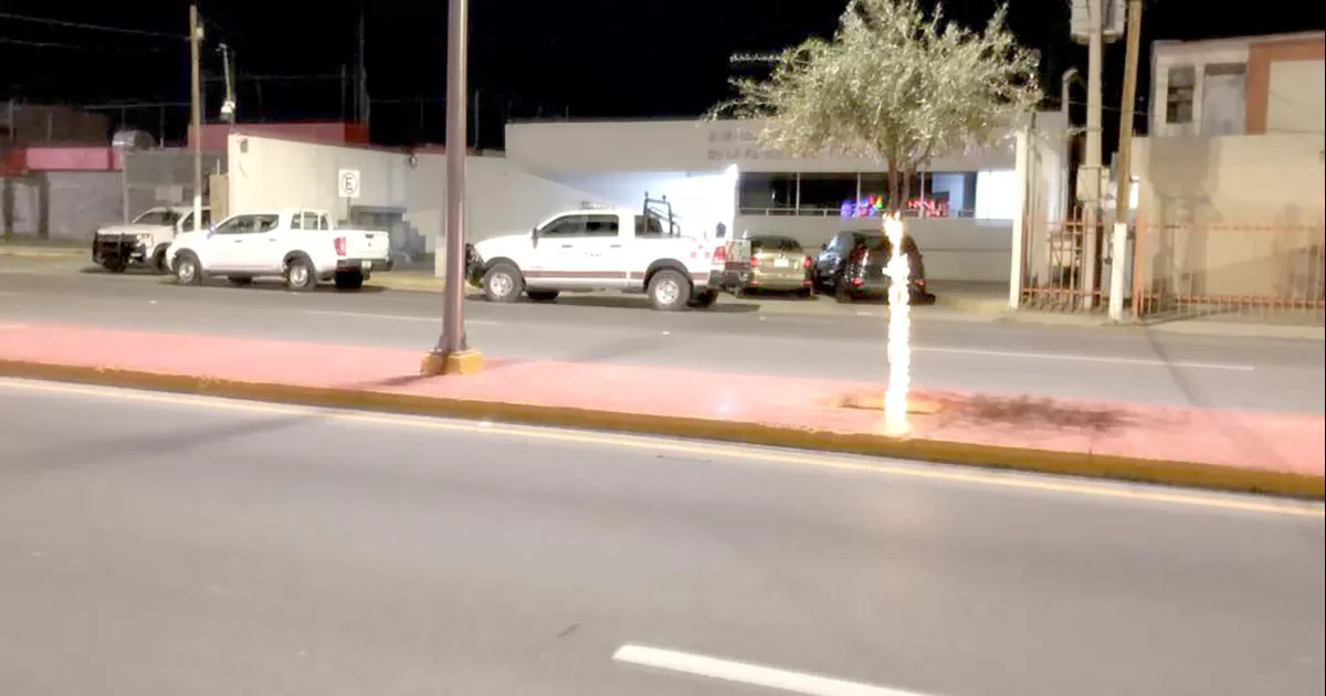 Detecta GN en Aduana ingreso de armas y balas