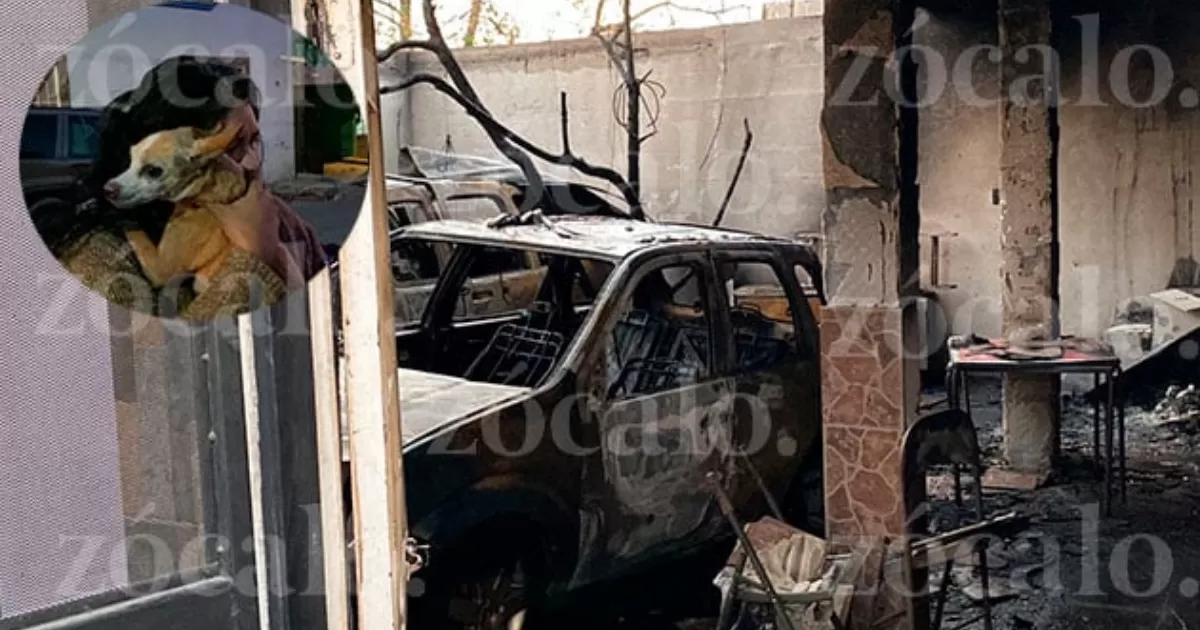 Las llamas también se espaciaron hacia la segunda planta, donde los rescatistas localizaron a ‘Canito’ y ‘Dobby’, dos perritos