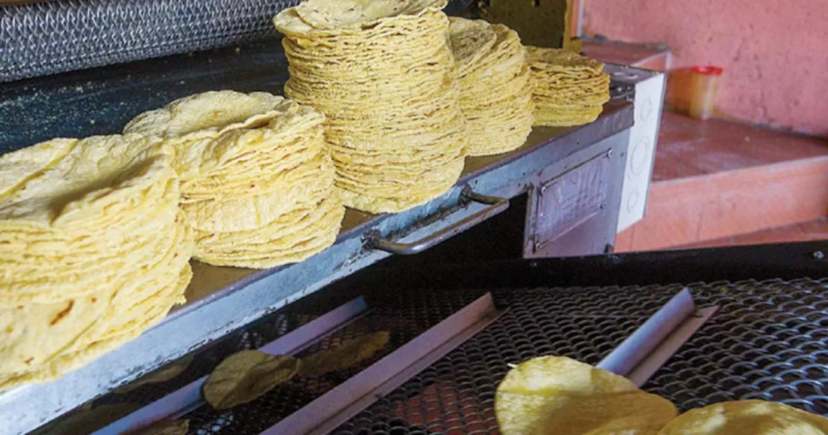 El precio de la tortilla se triplicó en 3 años