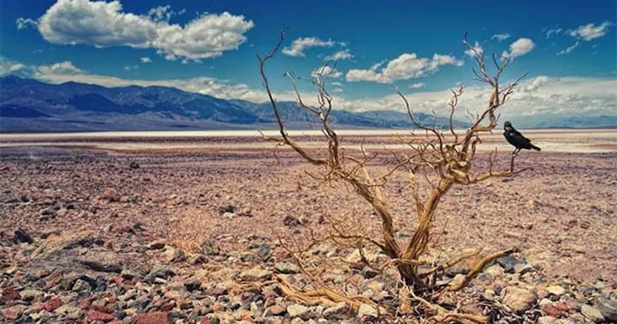La Niña se vincula con la persistente sequía en el Gran Cuerno de África y en grandes partes de América del Sur
