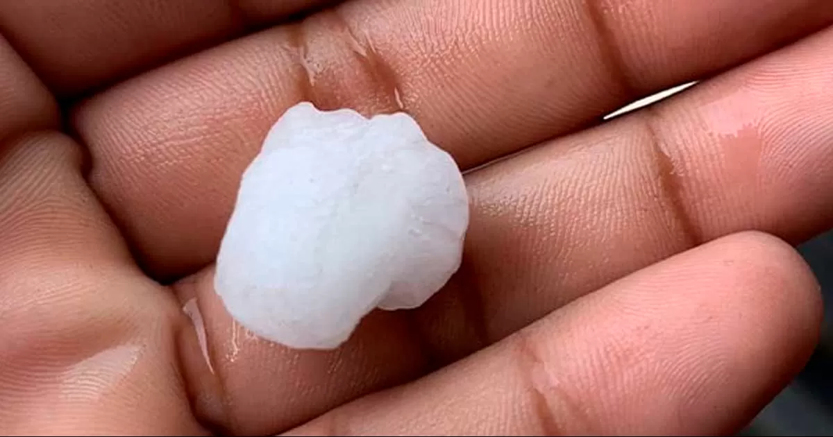 Autoridades reportan lluvia y caída de granizo en la zona citrícola de Nuevo León.