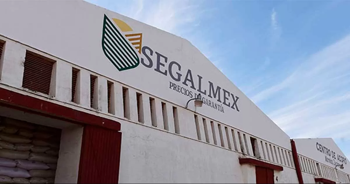 FGR obtiene 22 órdenes de aprehensión por caso Segalmex; asegura AMLO que no habrá impunidad