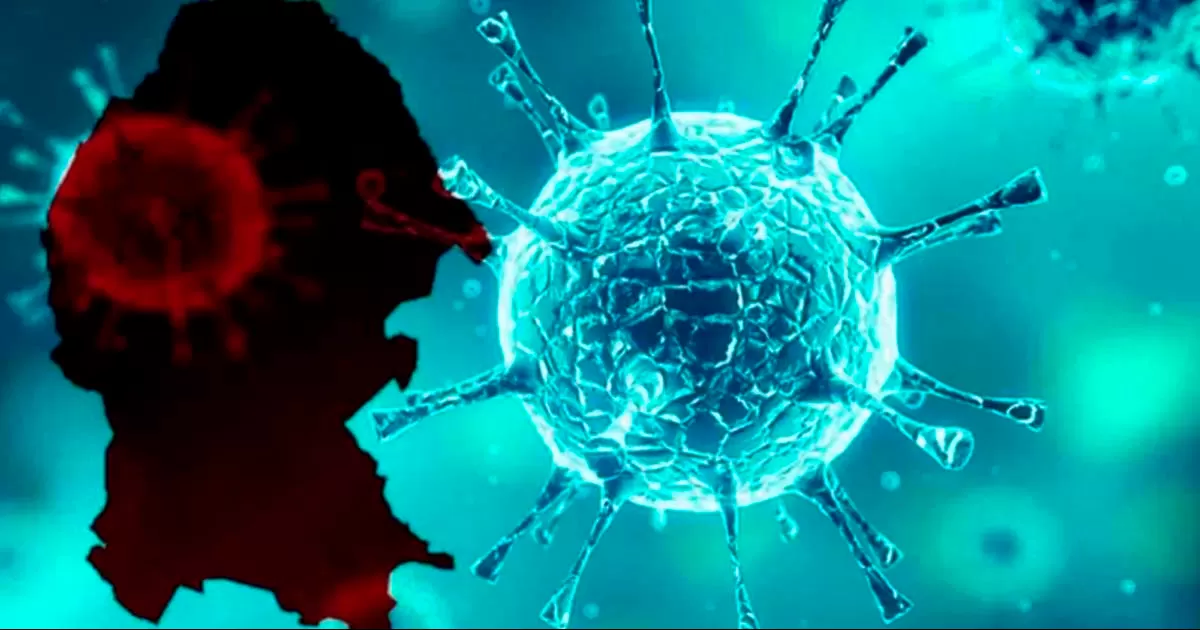 La entidad tiene actualmente 650 casos activos.