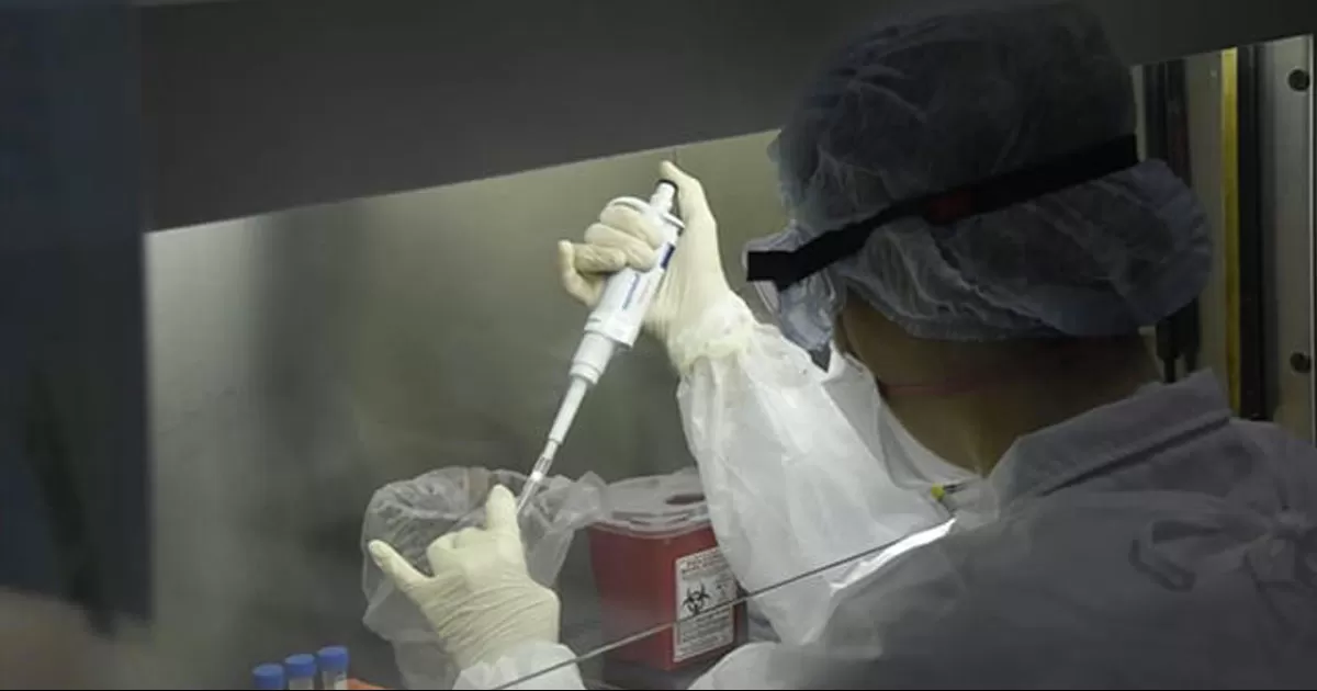 Hongo mortal enciende las alarmas en Estados Unidos