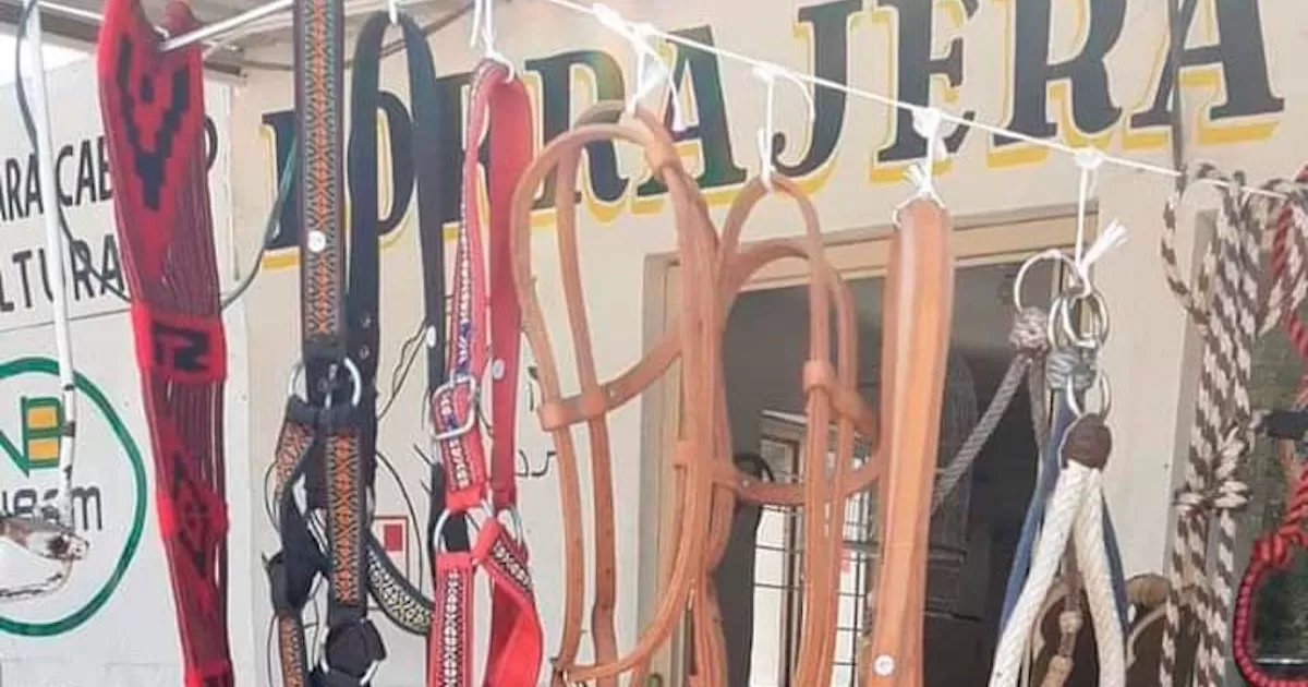 La denuncia realizada por los propietarios de la forrajera, se señala que son cerca de cien mil pesos los que fueron robados, producto de las ventas.