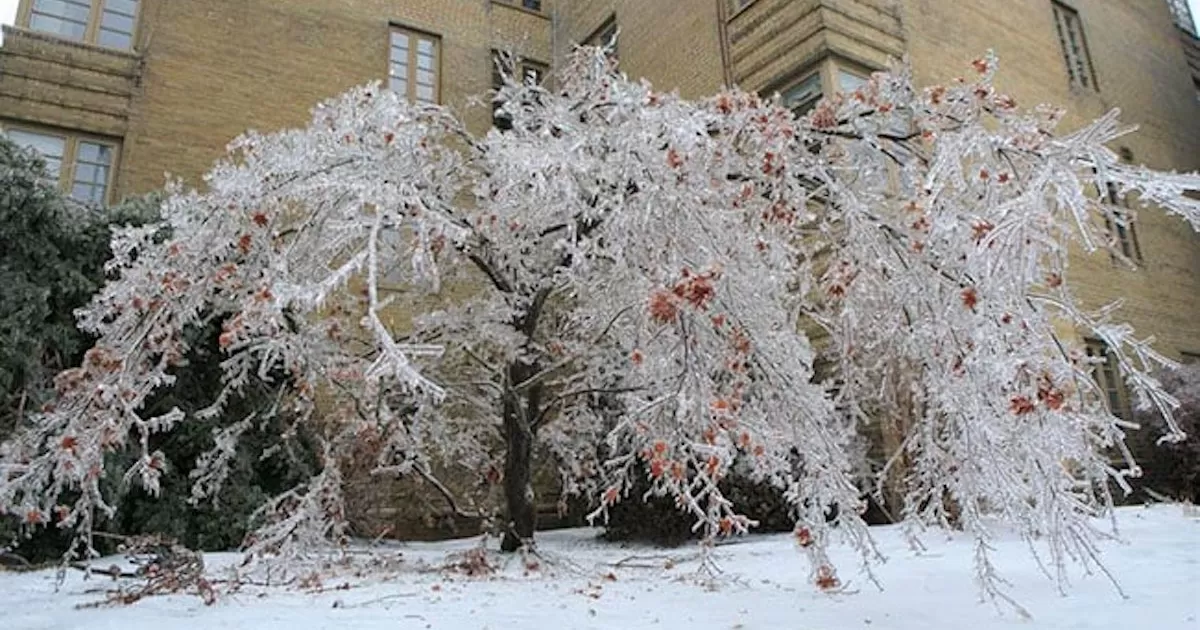 Más de mil trabajadores están intentando restaurar el servicio, muchos hogares podrían seguir sin electricidad hasta el viernes