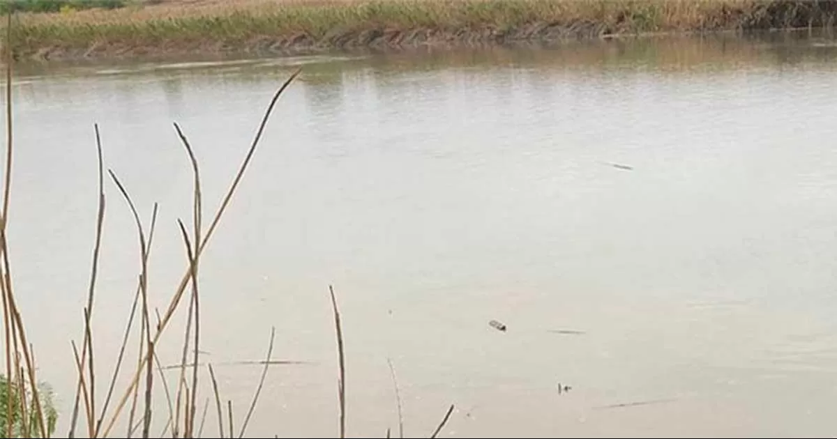 Localizan migrante ahogado en el río Bravo en Guerrero