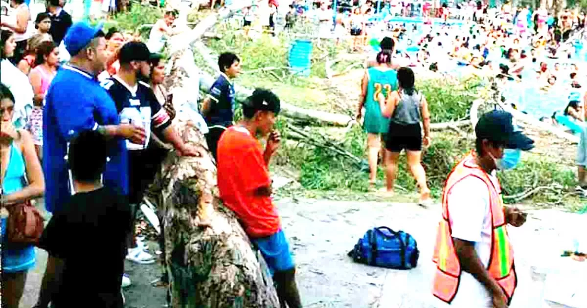 Cerca de las 02:10 de la tarde se escuchó el crujir del tronco y no dio tiempo para que las personas se pusieran a salvo.