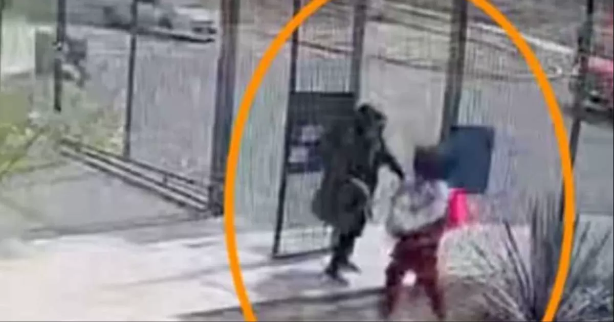 Una mujer pretendió robar un bebé a plena luz del día de los brazos de su madre