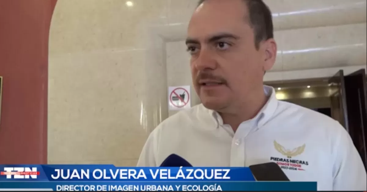 Ya están siendo fumigadas áreas con presencia de mosquitos, afirma Imagen Urbana