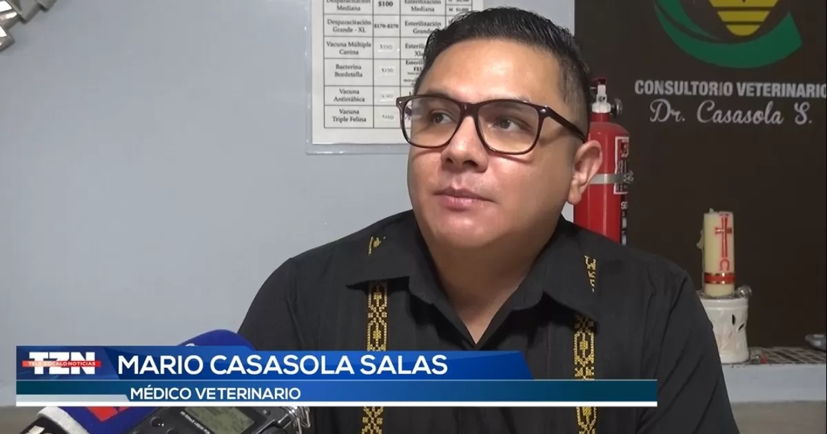 Dueños de mascotas no deben utilizar productos piratas para tratamientos de garrapatas y pulgas