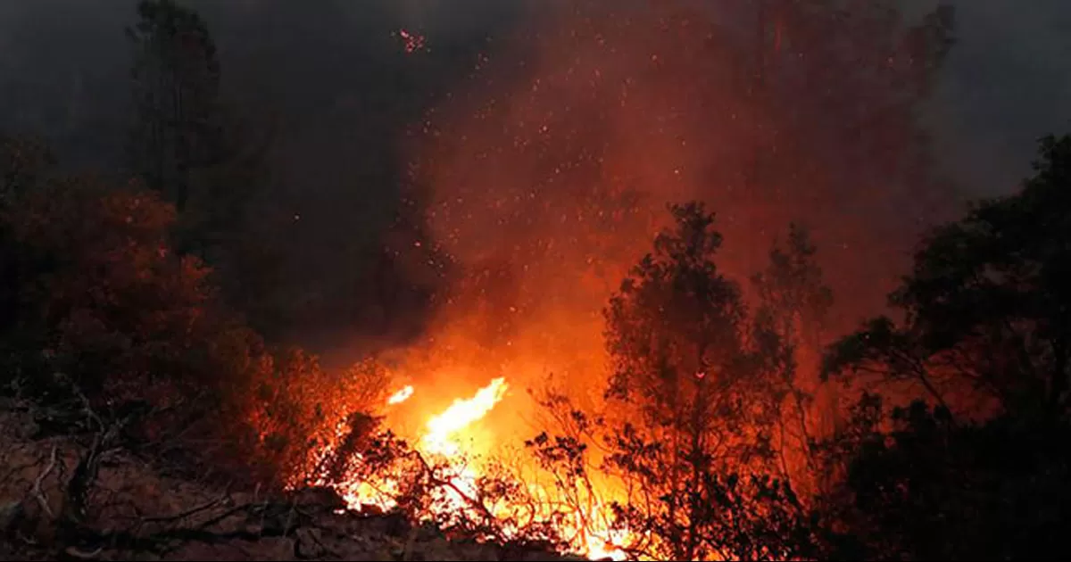 El país está registrando un número de incendios inusual para esta época.