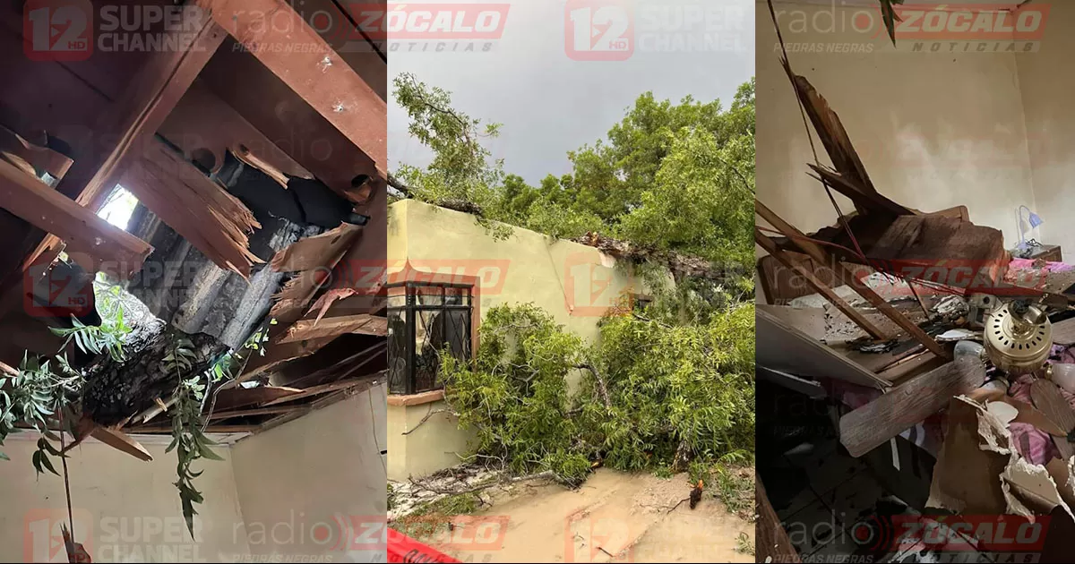 La tormenta eléctrica también estuvo acompañada de algo de granizo en varios sectores pero fue más el viento que causó daños.