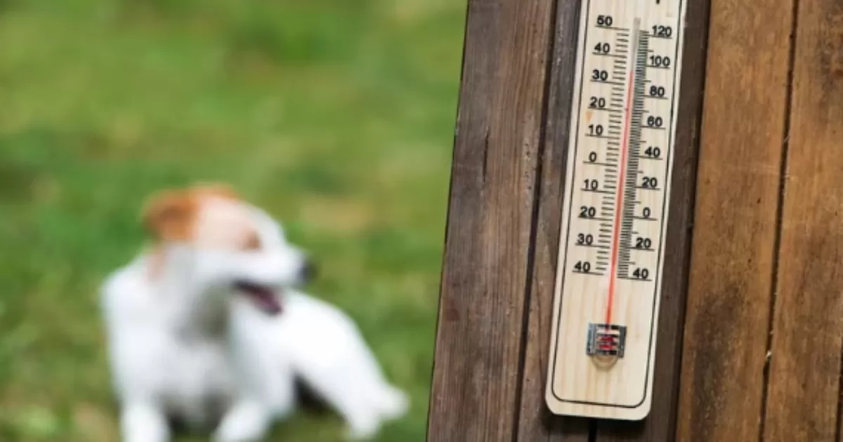 Se deben evitar las salidas cuando el pavimento este caliente.