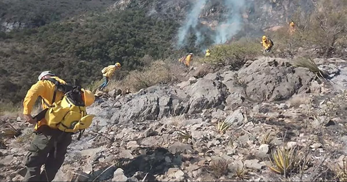 Evalúan otras alternativas para controlar y liquidar las llamas