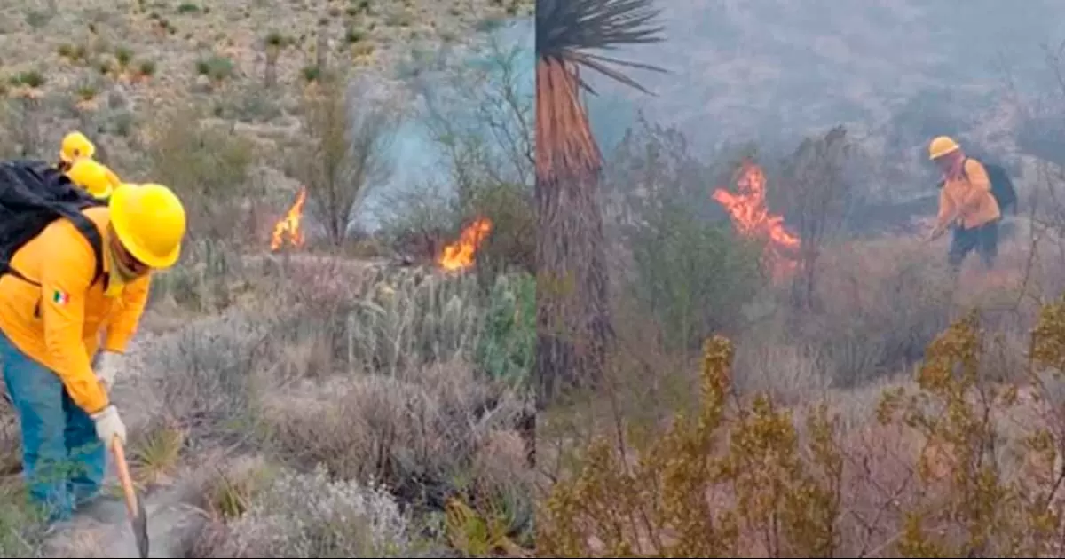 Combaten incendios forestales en los municipios de Cuatro Ciénegas, Ocampo y Múzquiz